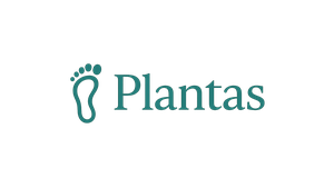 plantas school